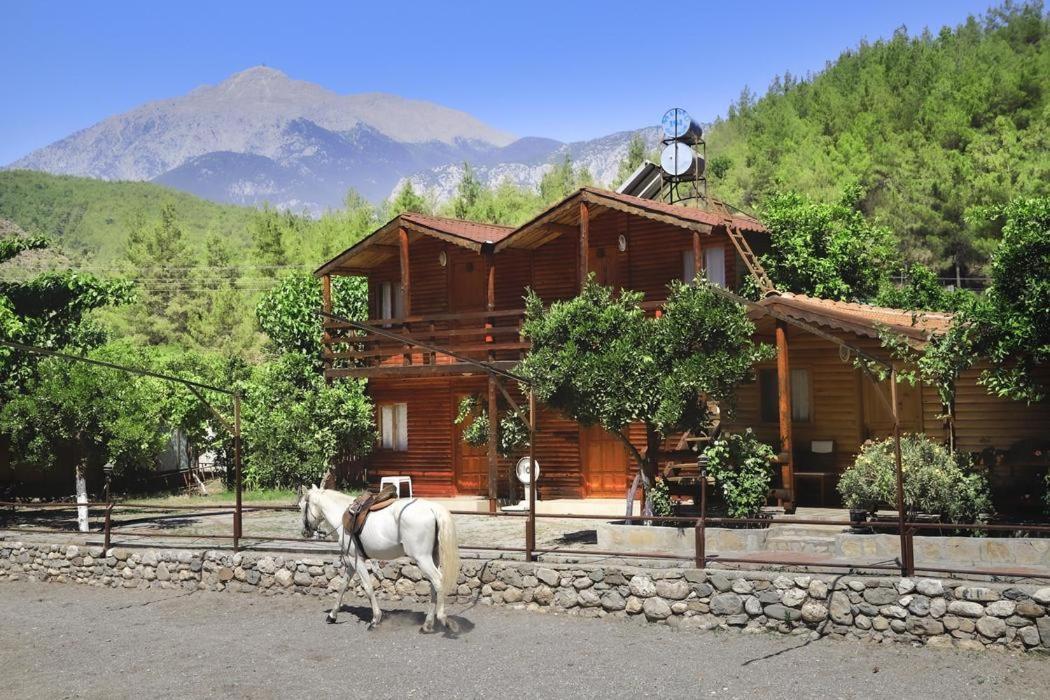 Oranj Ranch Hotel Kemer Eksteriør billede